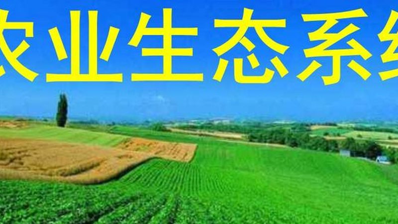 农业产业园规划设计：关键参数与要求解析**