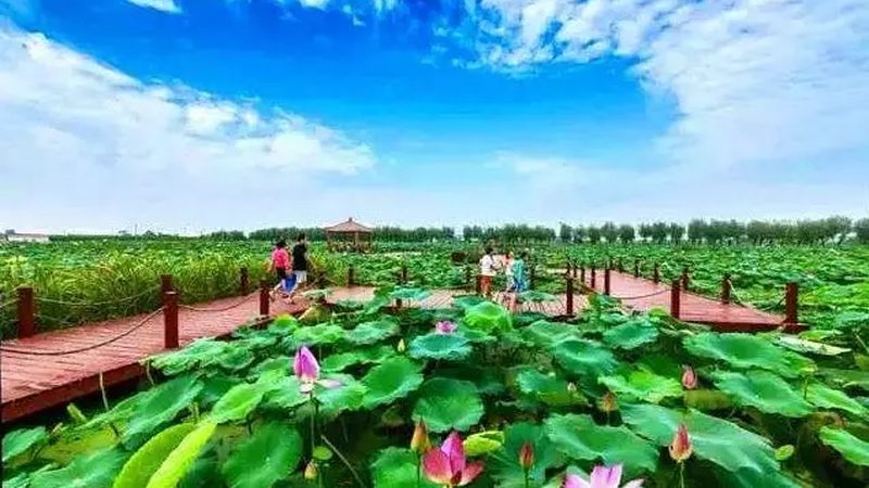 山东农产品批发市场规格参数解析