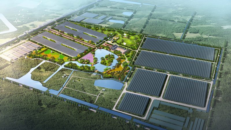 粮食种植公司报价：如何精准把握成本与效益