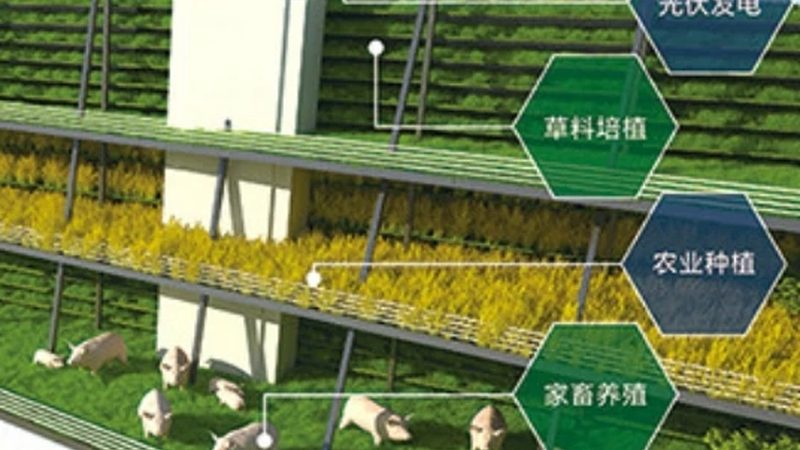 社区生鲜配送车定制，如何精准匹配需求？**
