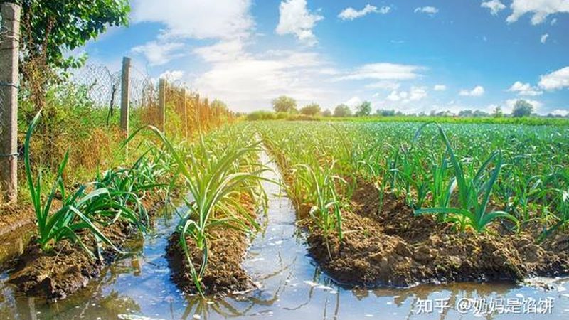 市场洞察：了解供需关系，精准定位