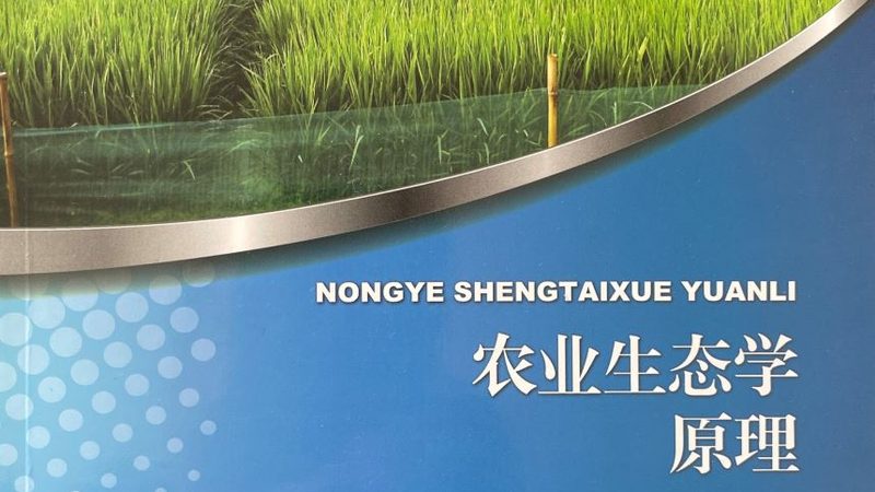 上海家庭果蔬配送：如何选择优质服务？**
