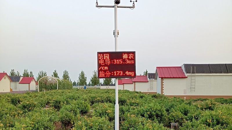蔬菜绿色食品认证怎么做