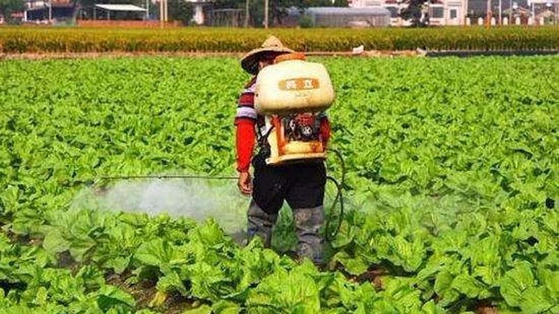 农资采购招标，如何精准把握关键点？**
