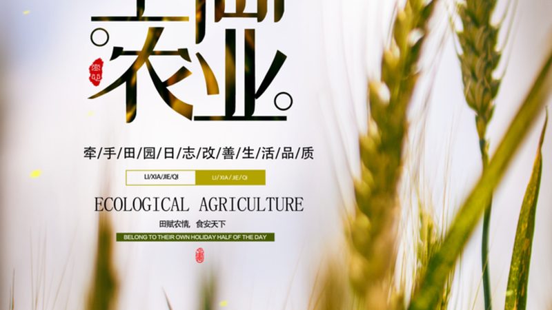 丘陵地区智能灌溉：注意事项与实施要点